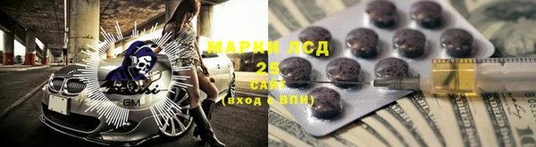шишки Белокуриха