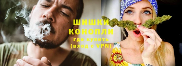 шишки Белокуриха