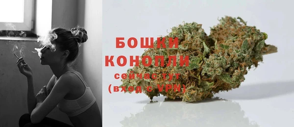 дмт Богородск