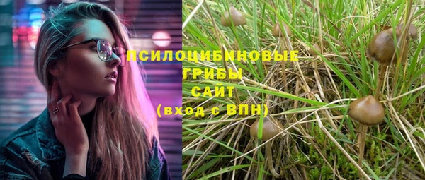 мефедрон Богородицк