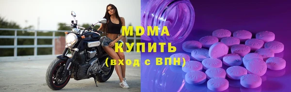 шишки Белокуриха