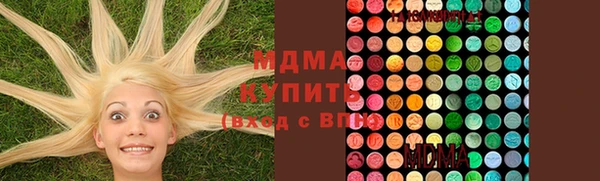 шишки Белокуриха