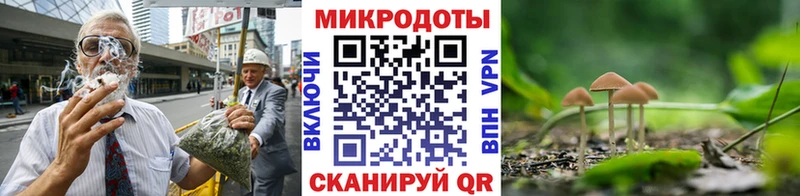 где можно купить   Весьегонск  Галлюциногенные грибы мухоморы 
